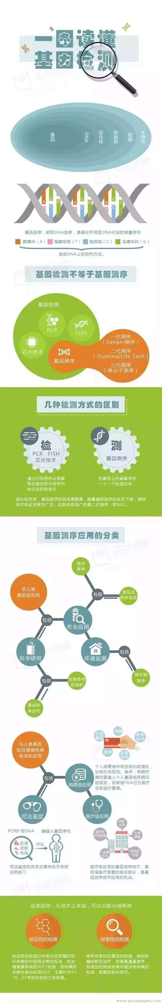 1.webp (1).jpg